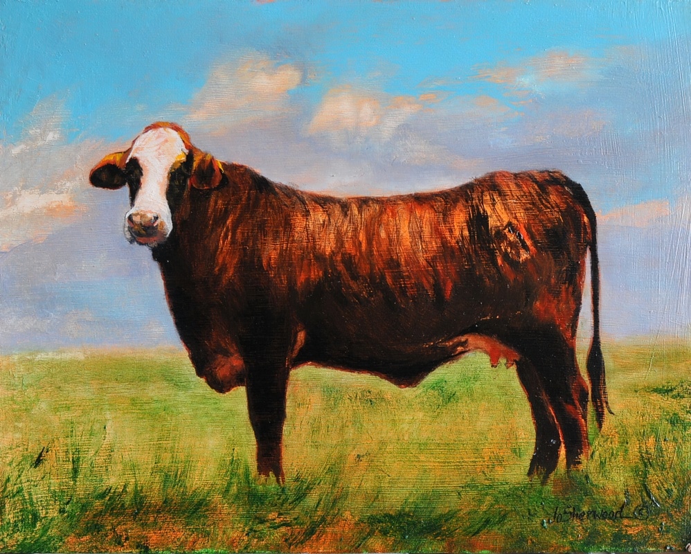 Texas Brindle Cow