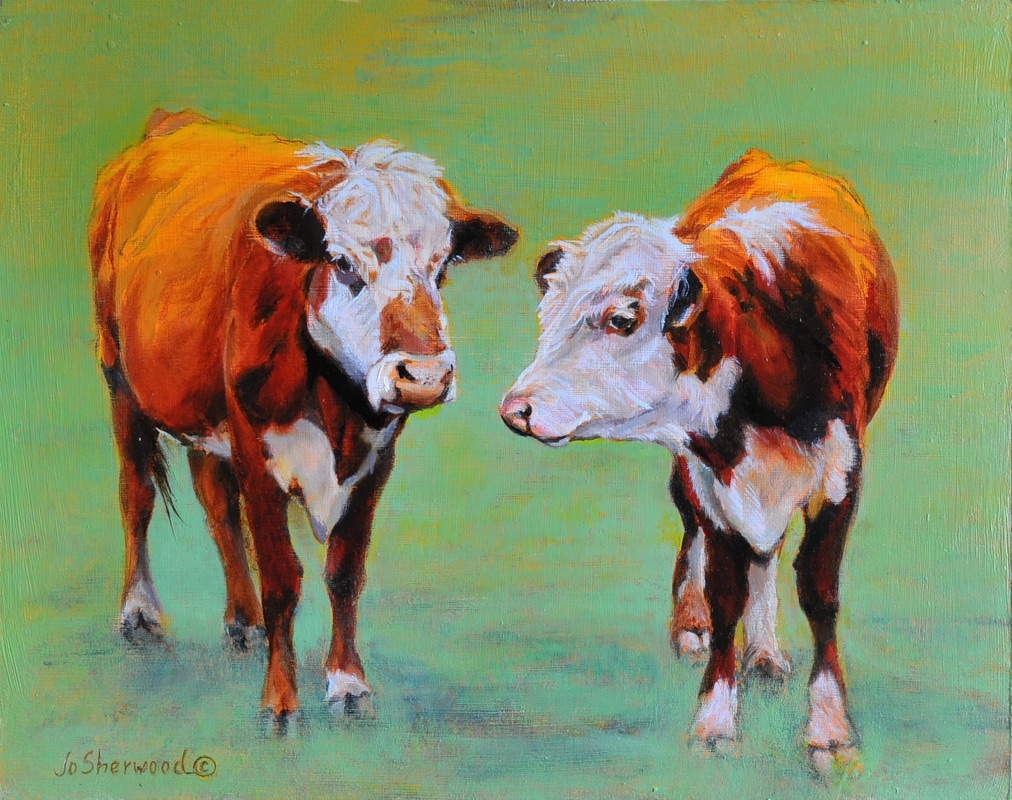Texas Herefords