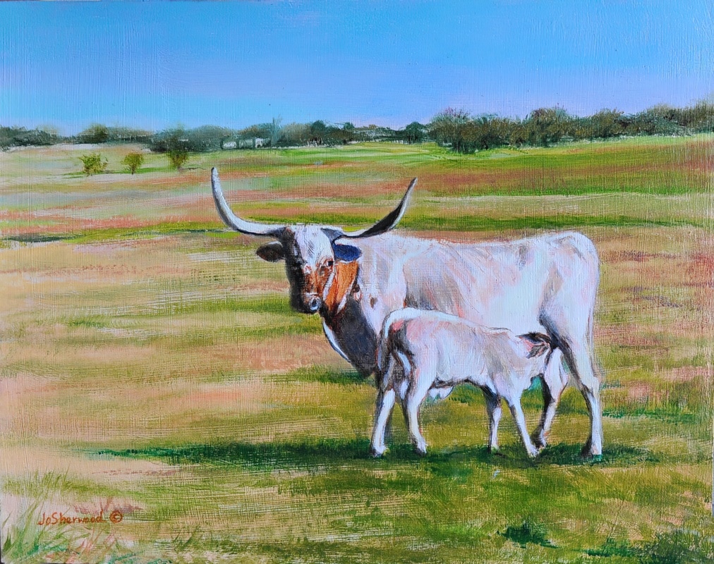 Texas Longhorn with calf