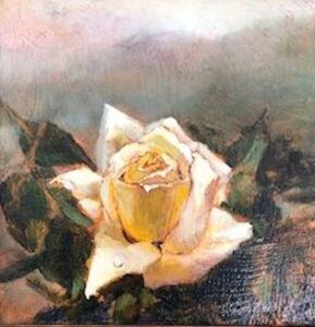 White Rose, 8x8" Oil on linen $750