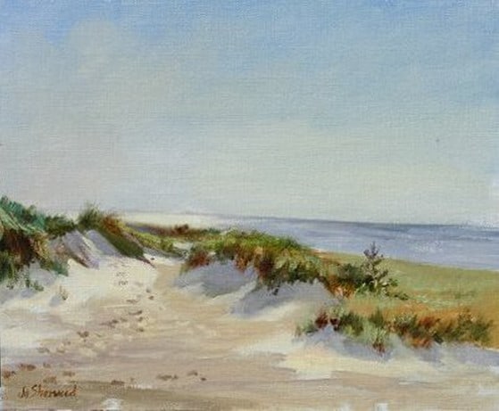 Sandpiper Beach by Jo Sherwood