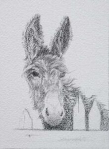Single Donkey by Jo Sherwood